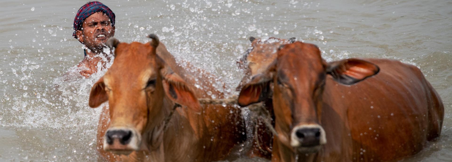 Daily life in a village in Bangladesh