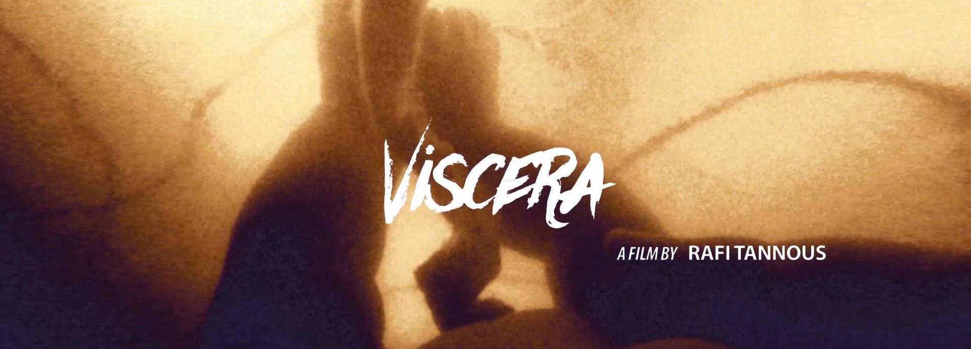 VISCERA